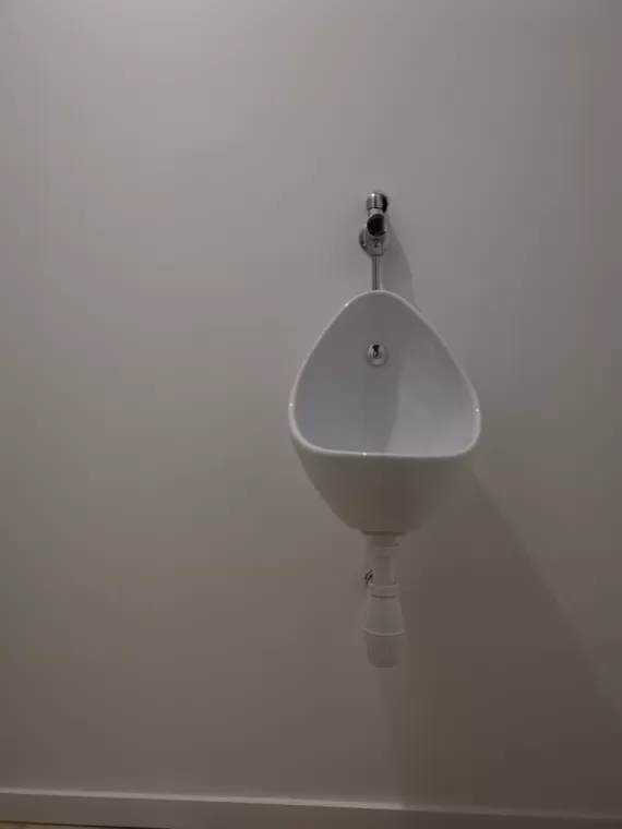 Installation d'un urinoir et d'un WC suspendu à massingy, Aix-les-Bains, Mellerin Mickaël