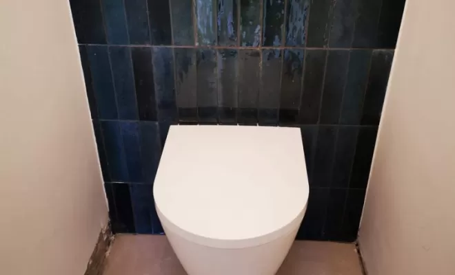 Installation de toilettes, Aix-les-Bains, Mellerin Mickaël